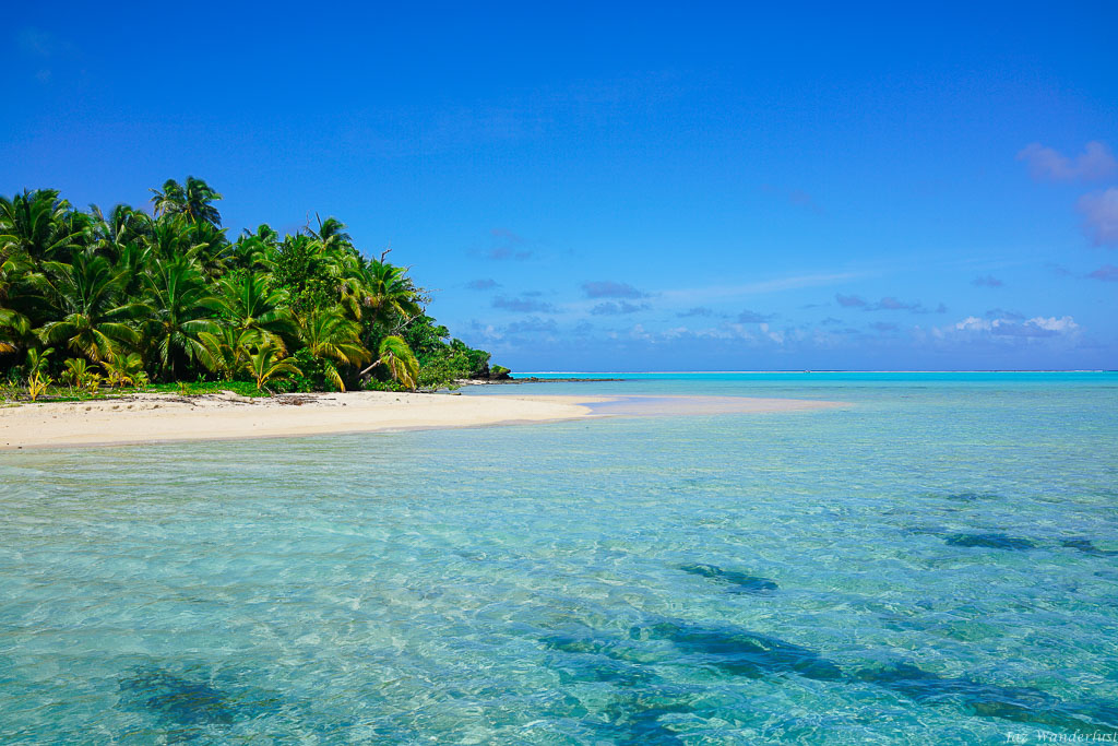 aitutaki day tour bookings