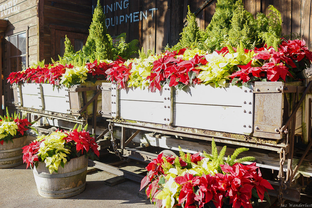 Knott's Merry Farm