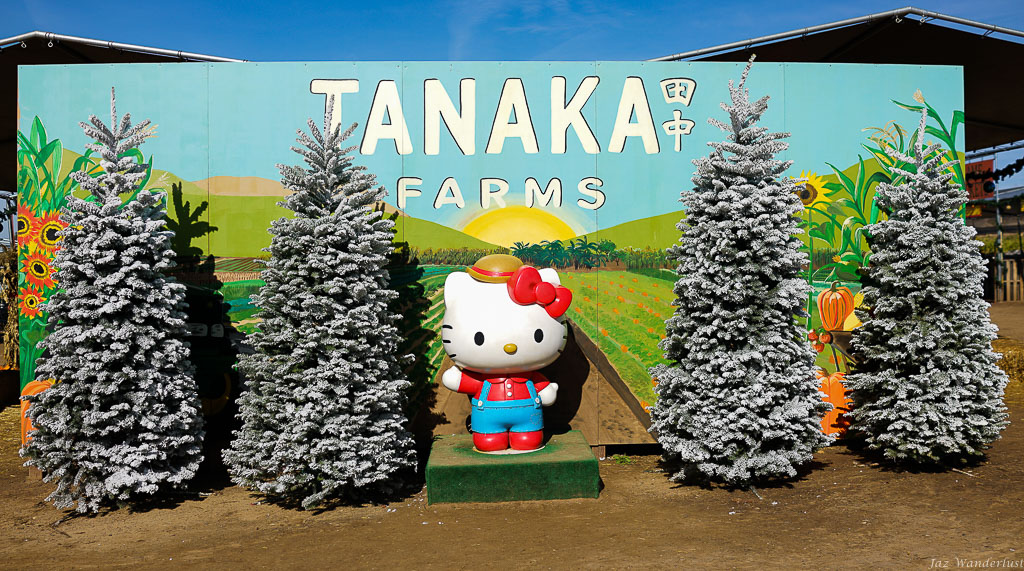 Tanaka Farms Holiday Tour
