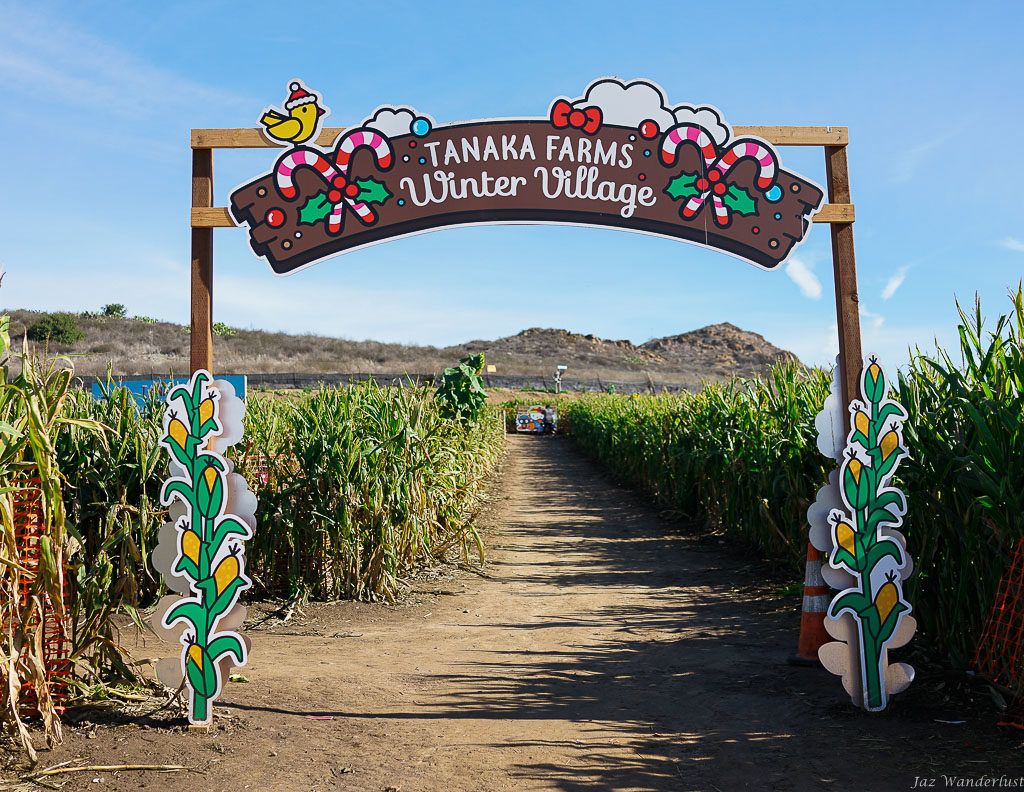 Tanaka Farms Holiday Tour