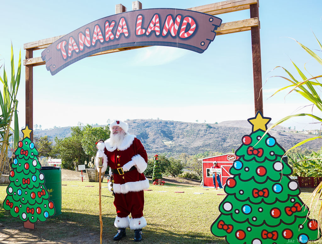 Tanaka Farms Holiday Tour