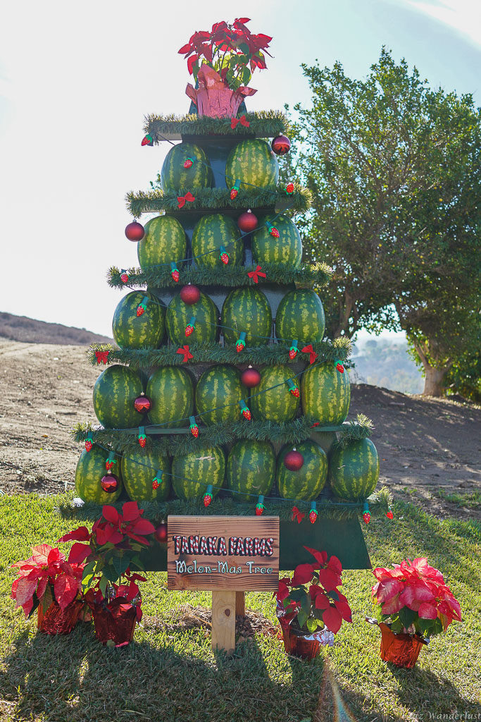 Tanaka Farms Holiday Tour