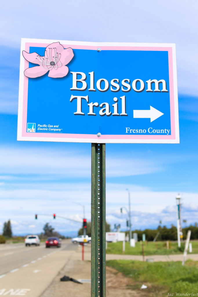 Fresno Blossom Trail