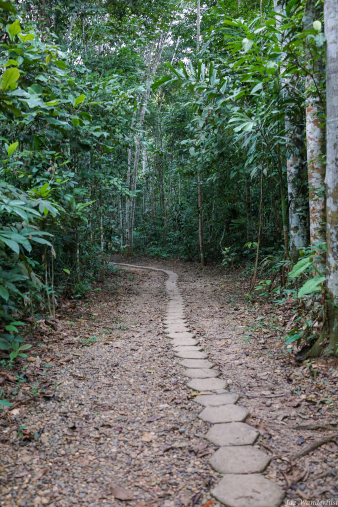 Refugio as - Peruvian  Rainforest's Best Lodge - Jaz