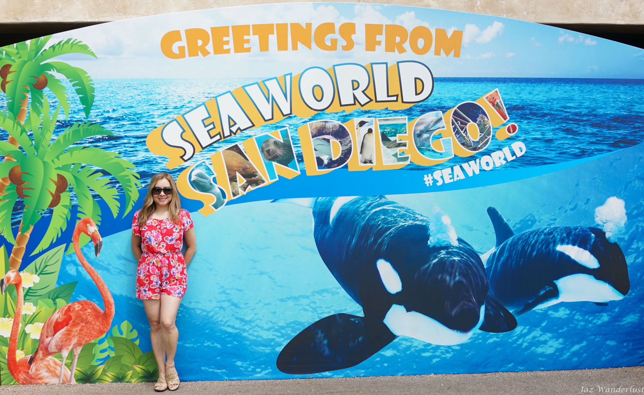 Visit Sea World San Diego Theme Park