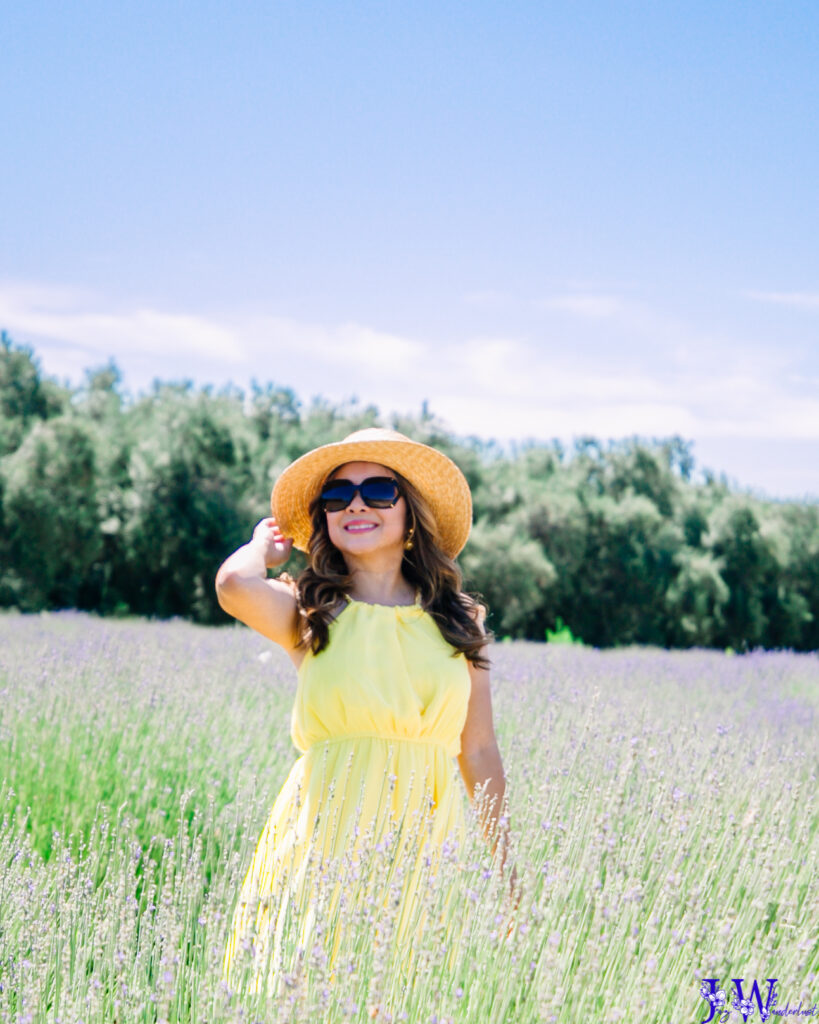 Enchanting Lavender Fields at 123 Farm - Jaz Wanderlust