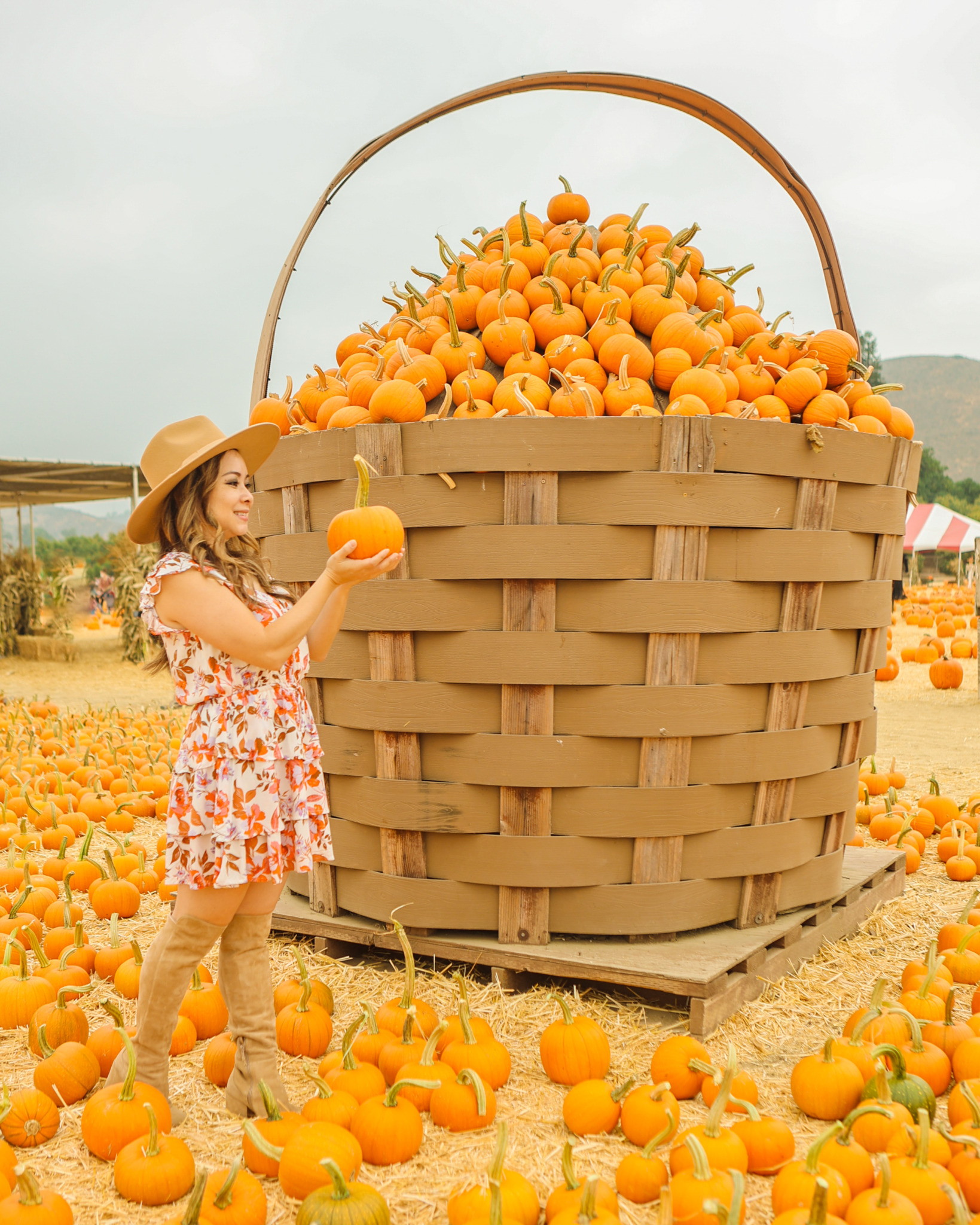 A girl wearing a floral fall dress holding a small pumpkin standing in front of a giant harvest basket full of pumpkins at the Underwood Family Farms Fall Fest