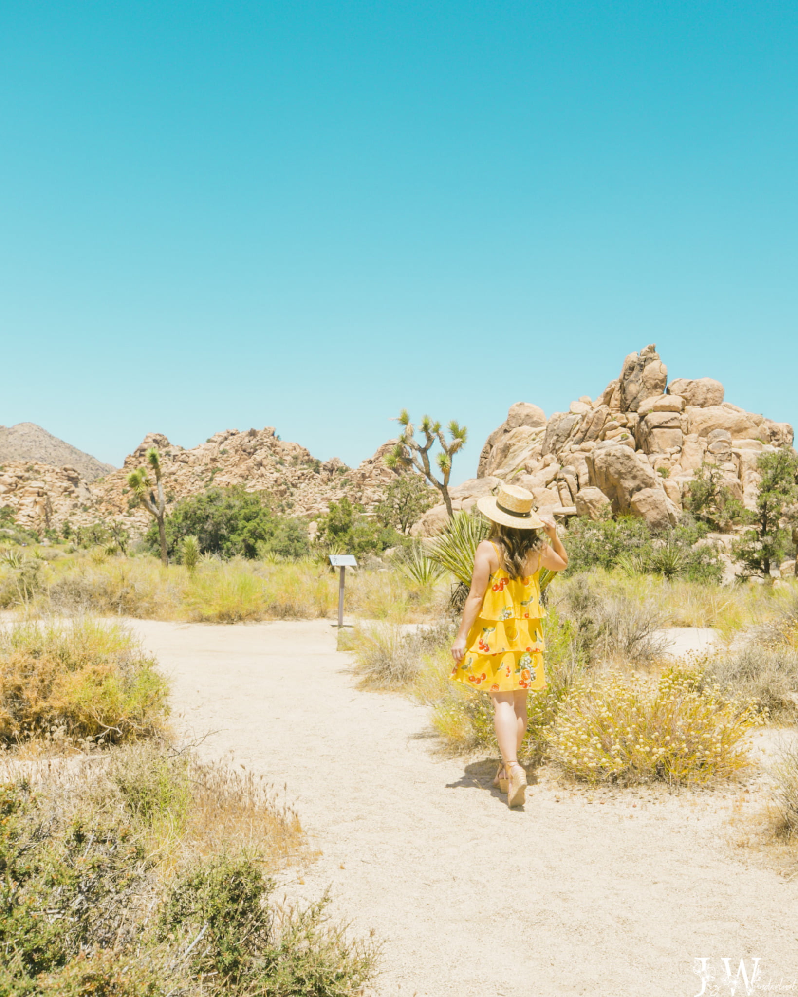 Hidden Valley Natural Trail in Joshua Tree National Park. Photography by Jaz Wanderlust.