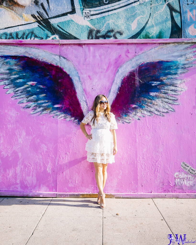 Colette Miller wings with pink background in Melrose of Los Angeles. Photography by Jaz Wanderlust.
