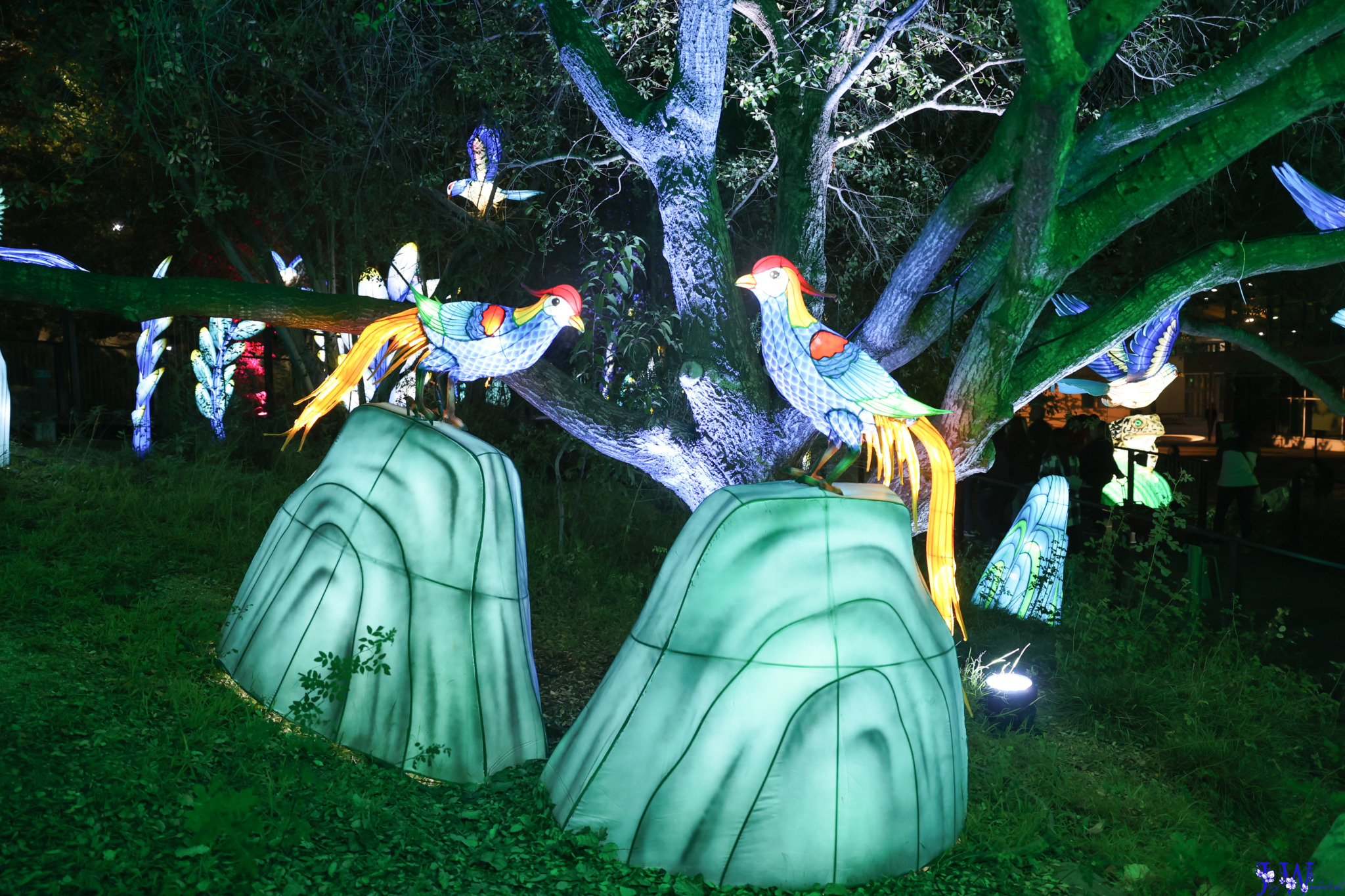 Light displays at LA Zoo in Southern California. Photography by Jaz Wanderlust.